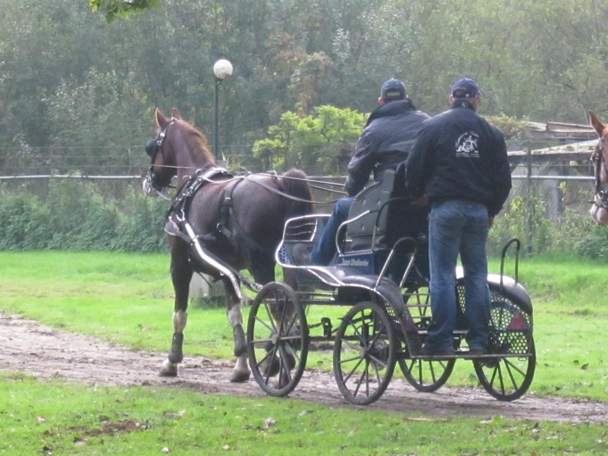 Hotel De Watermolen Bocholt Eksteriør billede